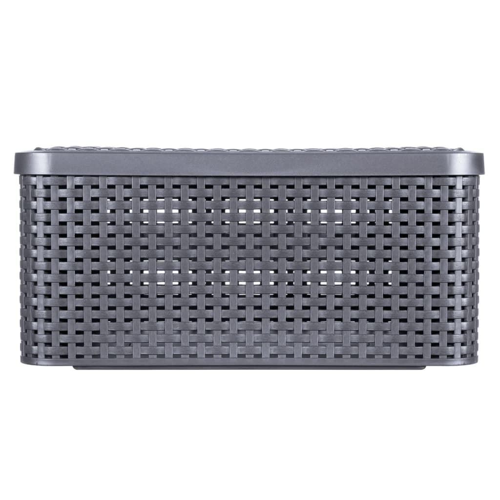 Curver Storage Box with Lid Style M 18L Metallic Silver