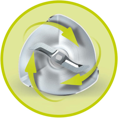 Mixeur plongeant - PHILIPS - HR2531/00? - ProMix Daily Série 3000 - 650W - Blanc
