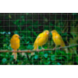 Grillage carré - NATURE - 0,5 x 3 m - Ep. 12,7 mm - Gris