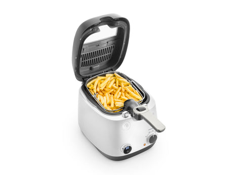 Friteuse - DELONGHI - FS6067 - 2,4 L - 1700 W - 41,5 x 29 x 26 cm - Gris / Noir