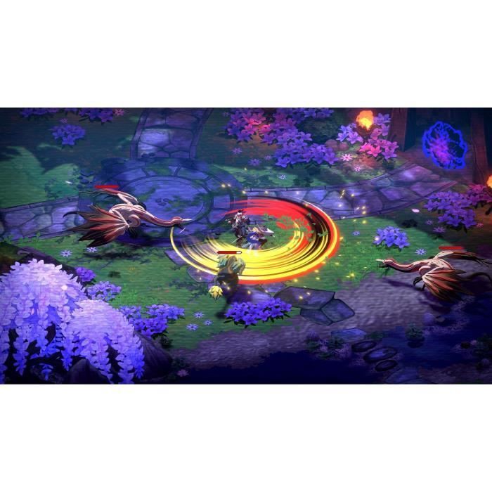 Towa and the Guardians of the Sacred Tree - Jeu Nintendo Switch