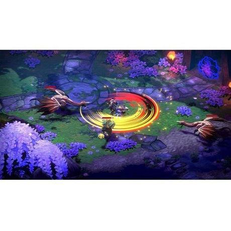 Towa and the Guardians of the Sacred Tree - Jeu Nintendo Switch