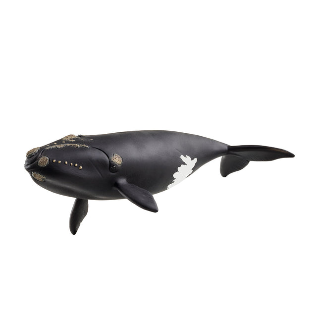 Figurine baleine de l'atlantique, Schleich 14878 Wild Life, des 5 ans