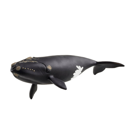 Figurine baleine de l'atlantique, Schleich 14878 Wild Life, des 5 ans