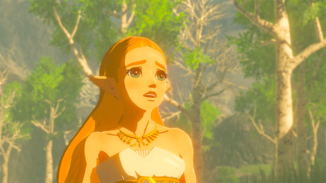 The Legend of Zelda: Breath of the Wild • Jeu Nintendo Switch