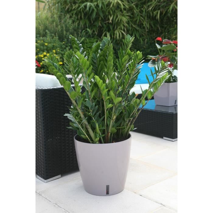 Pot de fleurs rond en plastique - RIVIERA - EVA NEW - Avec réserve d'eau - Ø45 x H45 cm - 49 L - Taupe