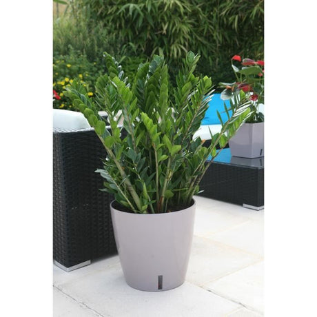 Pot de fleurs rond en plastique - RIVIERA - EVA NEW - Avec réserve d'eau - Ř45 x H45 cm - 49 L - Taupe