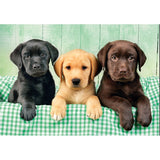 CLEMENTONI - Compact 1000 pieces - Three Labs