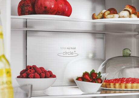 Réfrigérateur multi-portes - CANDY CFQQ5T817EPS - 467L (311L + 156L) - No Frost - Classe E - Silver