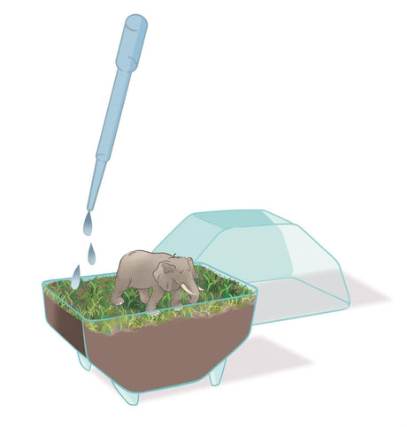 Mini Terrarium - Clementoni - Éléphant - Jeu de sciences et d'expériences - Des 7 ans - Fabriqué en Italie