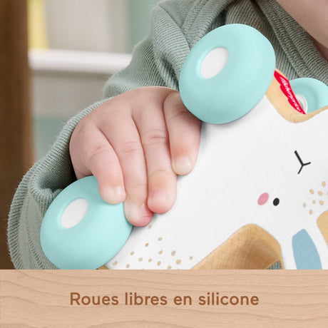 Fisher-Price Lapin a pousser en bois - Véhicule pour jeu a quatre pattes - 1 Piece en bois - des 6 mois - JDM52