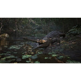 Metal Gear Solid Delta Snake Eater - Jeu Xbox Series X - Day One Edition