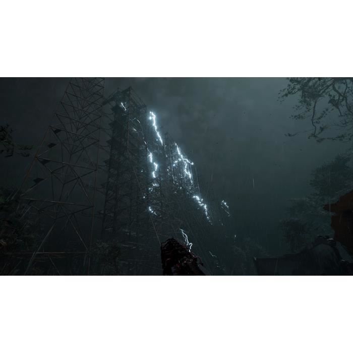 S.T.A.L.K.E.R. 2 HoC - Day One Edition - Jeu PS5