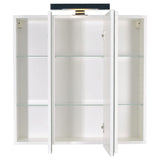 FMD Armoire de salle de bain avec miroir 70x19x67,6 cm blanc