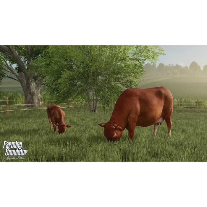 Farming Simulator - Signature Edition  Jeu Nintendo Switch 2