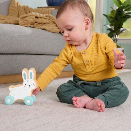 Fisher-Price Lapin a pousser en bois - Véhicule pour jeu a quatre pattes - 1 Piece en bois - des 6 mois - JDM52