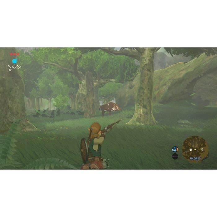 The Legend of Zelda: Breath of the Wild  Jeu Nintendo Switch