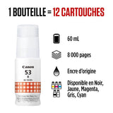 Bouteille d'encre - CANON - GI-53R - Rouge - CompatibilitÈ PIXMA G650 et G550 - (4717C001)