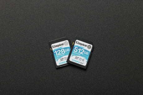 Carte mémoire SD Kingston Canvas Go! - 512Go