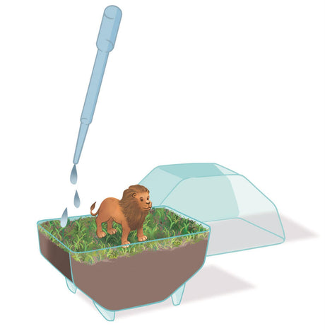 Mini Terrarium - Clementoni - Lion - Jeu de sciences et d'expériences - Des 7 ans - Fabriqué en Italie