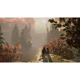 Life Is Strange 2 - Jeu Nintendo Switch - Code in a box