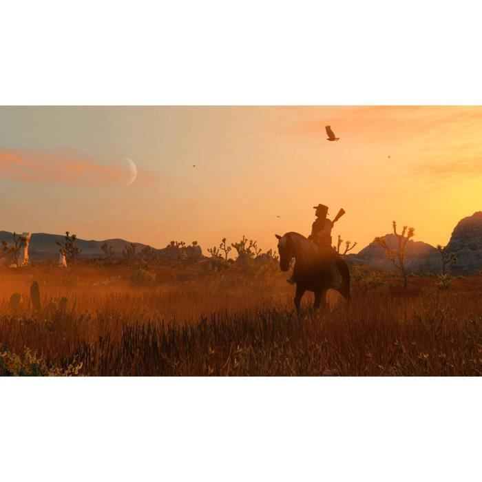 Red Dead Redemption - Jeu Nintendo Switch - Code in a box