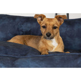 Scruffs &amp; Tramps Kensington M dog bed 60x50 cm Navy blue