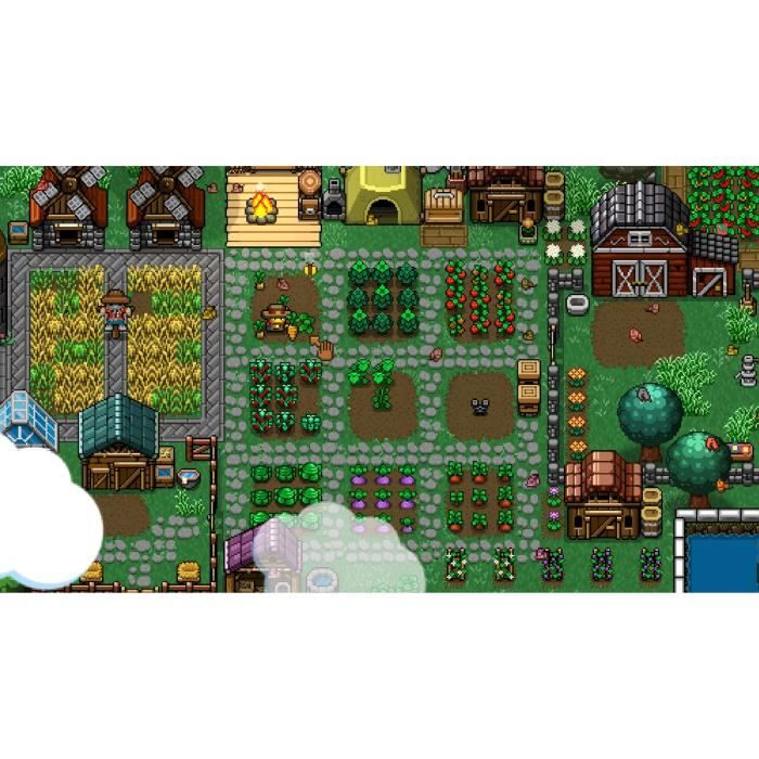 Cattle Country - Jeu Nintendo Switch