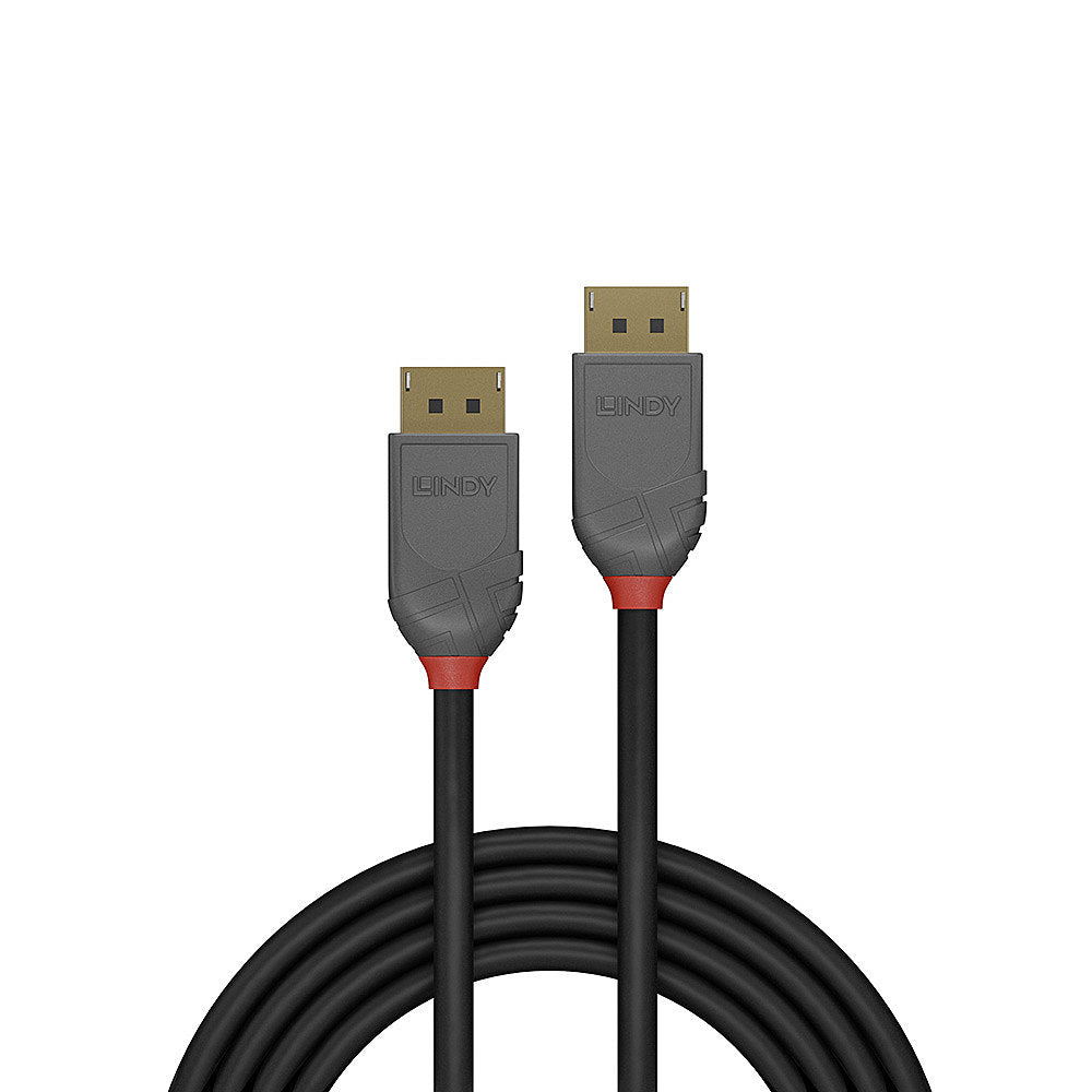 Cable DisplayPort 1.4 Lindy 1m (Noir/Gris)