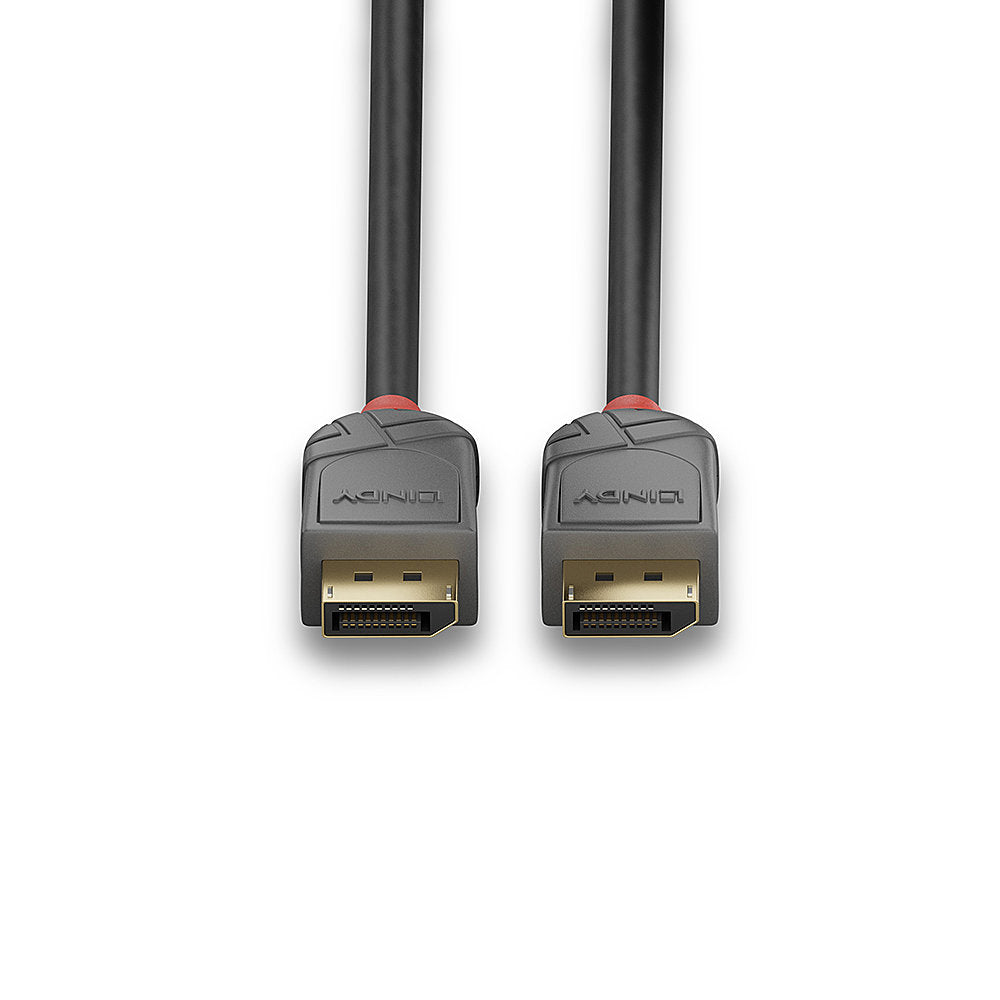 Cable DisplayPort 1.4 Lindy 1m (Noir/Gris)