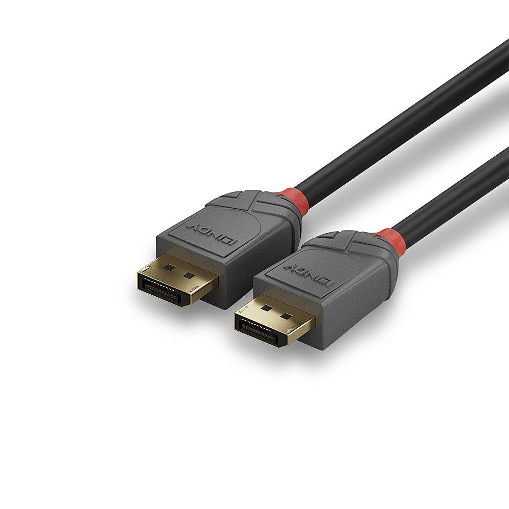 Cable DisplayPort 1.4 Lindy 1m (Noir/Gris)