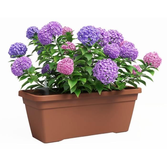 Jardiniere - Plastique - Terre cuite - Rectangulaire - L57,9 x P24,3 x H22cm - ARTEVASI