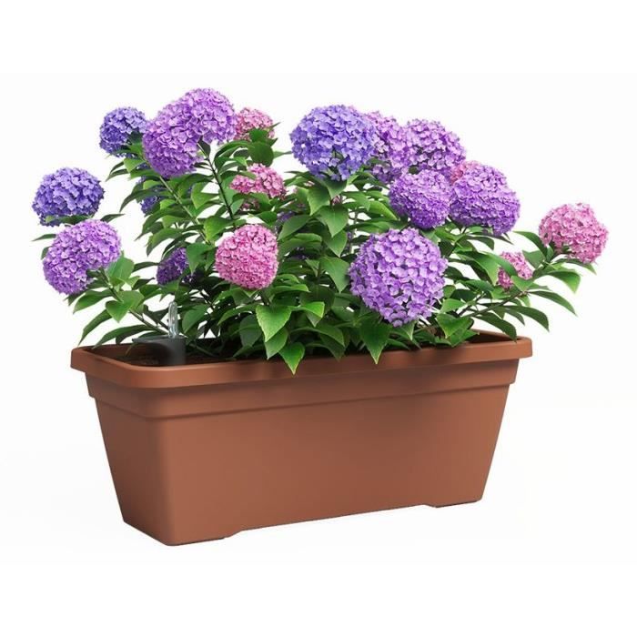 Jardiniere - Plastique - Terre cuite - Rectangulaire - L77,9 x P24 x H22cm - ARTEVASI