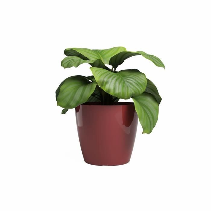 ARTEVASI Pot de fleur SAN REMO - 36 br - Rouge foncé - 36 x 36 x 33,5 cm
