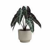 Pot de fleur - ARTEVASI - Miami Wavy - 30 cm - 13 L - Creme