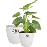 ELHO Lot de 2 pots de fleurs rond a roulettes Brussels - Ø35 x H33 cm et Ø39 x H36,5 cm - 55 L - Blanc