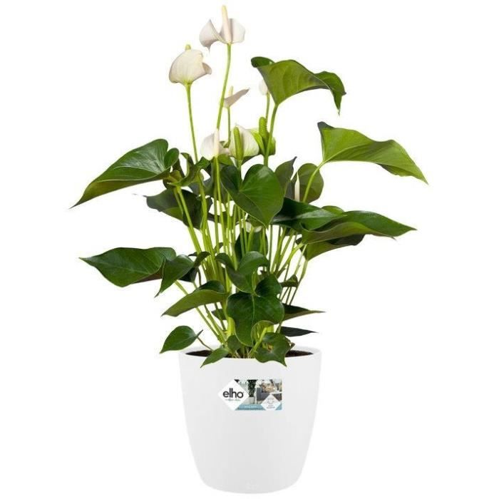 ELHO Lot de 2 pots de fleurs rond a roulettes Brussels - Ø35 x H33 cm et Ø39 x H36,5 cm - 55 L - Blanc