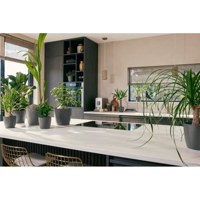 ELHO Lot de 3 pots de fleurs rond The Coffee Collection - Ø14xH12,6cm, Ø16xH14,7cm, Ø18xH16,8 cm - 7 L - Marron