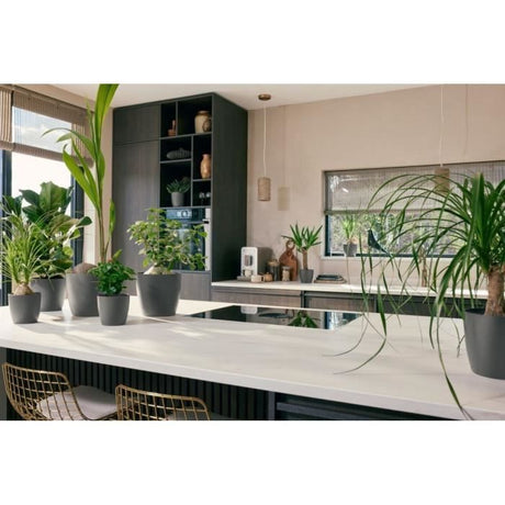 ELHO Lot de 3 pots de fleurs rond The Coffee Collection - Ř14xH12,6cm, Ř16xH14,7cm, Ř18xH16,8 cm - 7 L - Marron