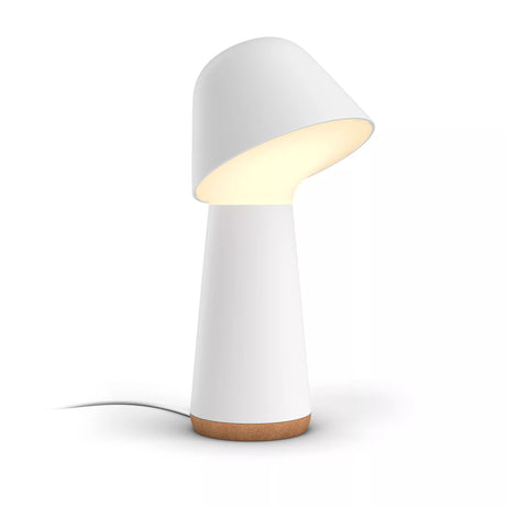 PHILIPS lampe connectée hue w