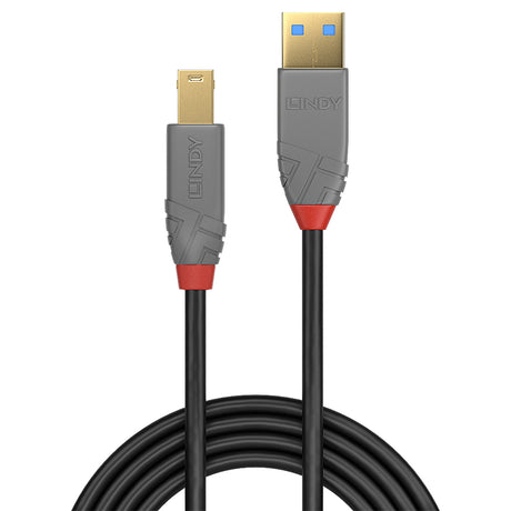 Cable Lindy USB 3.0 type A - B M/M 3m (Gris/Noir)