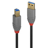 Cable Lindy USB 3.0 type A - B M/M 3m (Gris/Noir)