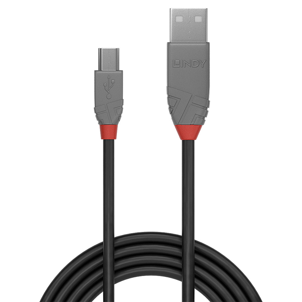 Cable Lindy USB 2.0 type A - Mini B M/M 5m (Gris)