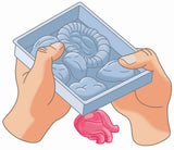 Mini Labo d'anatomie CLEMENTONI