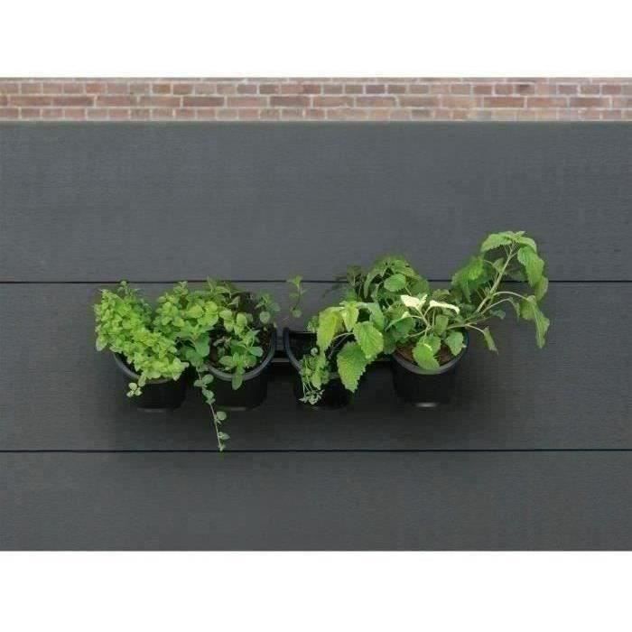 Jardiniere murale - Kit mural composÈ d'un support mural et de 4 pots (1 L) - Noir - Dim H 15 x L 60 cm - NATURE