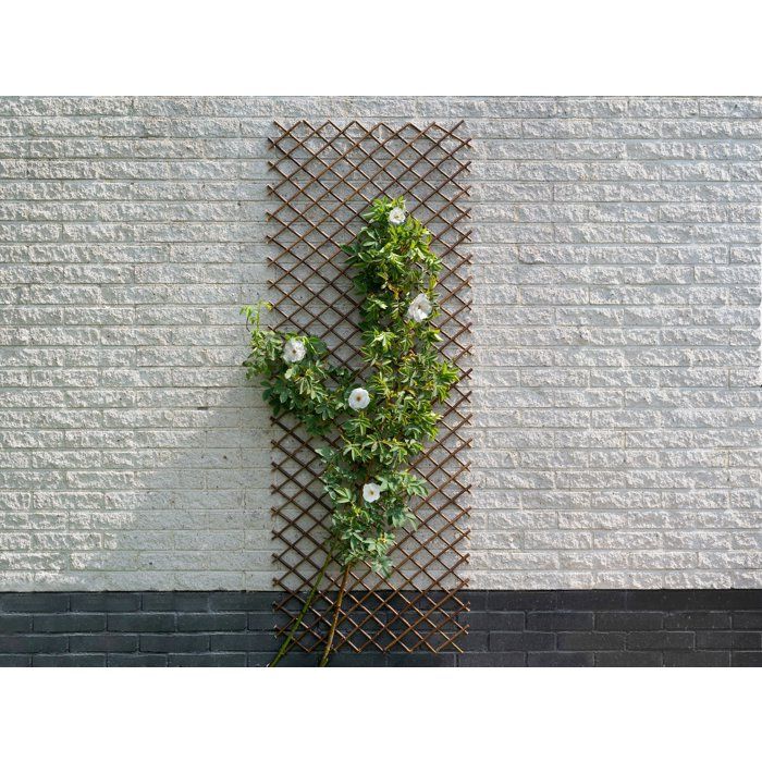 Treillis extensible - NATURE - En osier FSC naturel - 60 x 180 cm