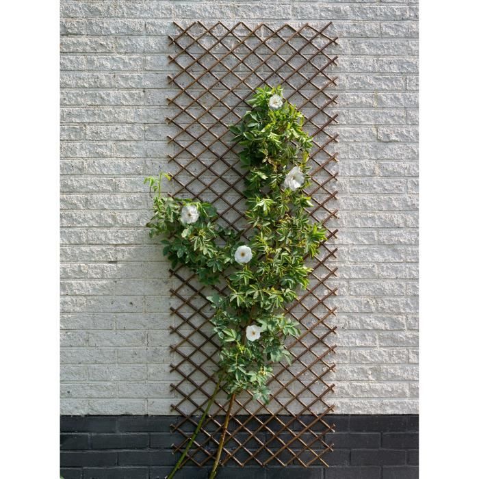 Treillis extensible - NATURE - En osier FSC naturel - 90 x 180 cm