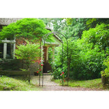Pergola arche - NATURE - Métal - 112,5 x 39,5 x 231 cm - Noir - Décor volutes