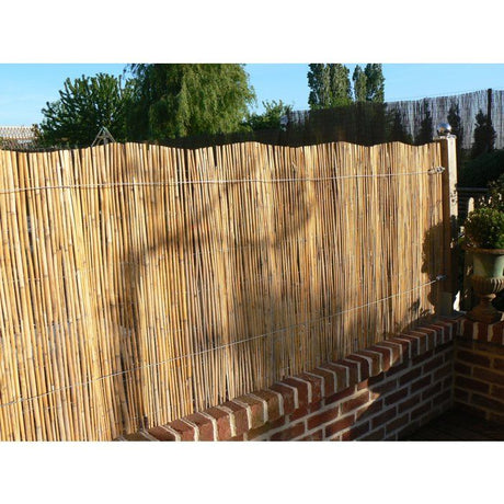 Canisse - NATURE - Roseaux fendus naturels - 3 x 1 m
