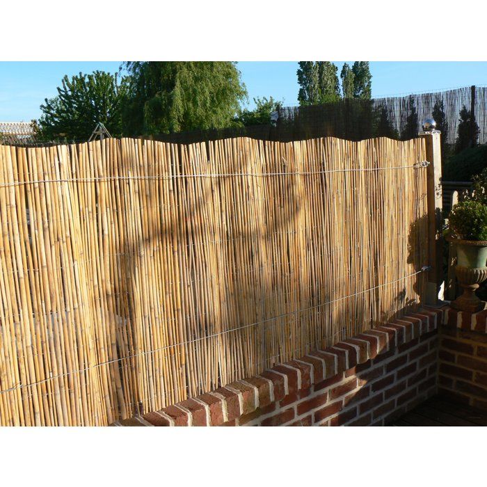 Canisse - NATURE - Roseaux fendus naturels - 5 x 1 m